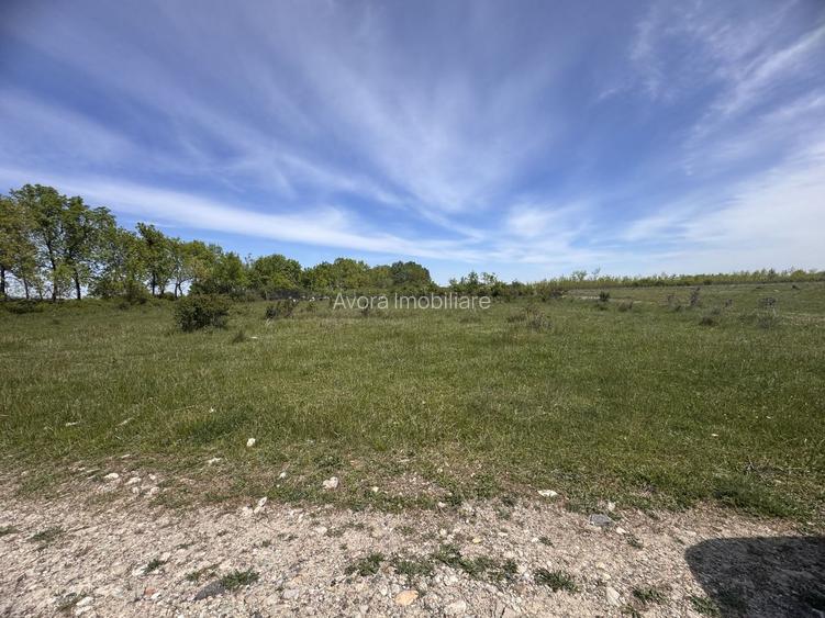 Giroc-Calea Urseni, Parcela teren, Oportunitate investitie - 2