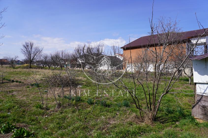 Teren Strada Mare Lumina Central - 10