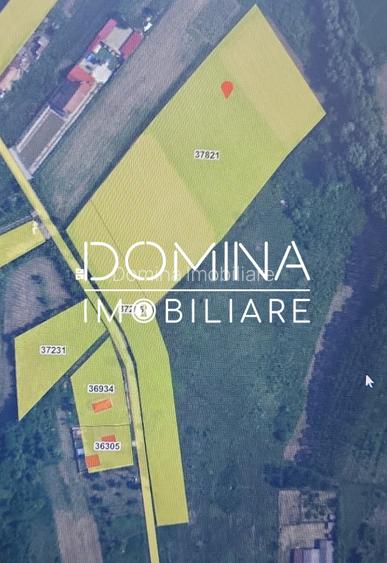 Vânzare teren intravilan 20.386 mp în Câlnic–traversat de râu, 19 km de Tg Jiu - 8