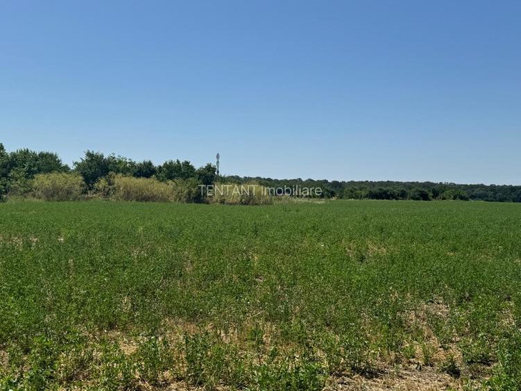 Vanzare Teren construibil 2600mp Gneasa - 7