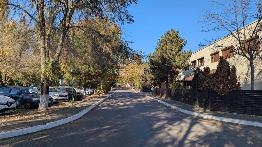 Teren 19.470 mp, investitie ideala, Green City -1 Decembrie, Ilfov - 16