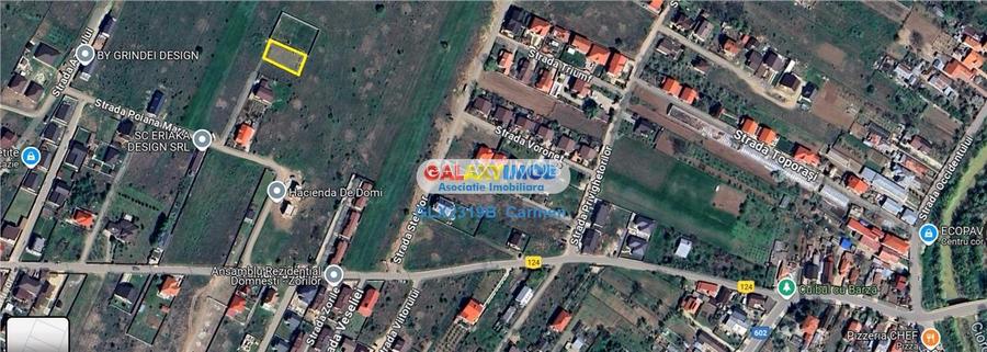 Teren intravilan - Domnesti - Intrarea Albastrelelor - 5