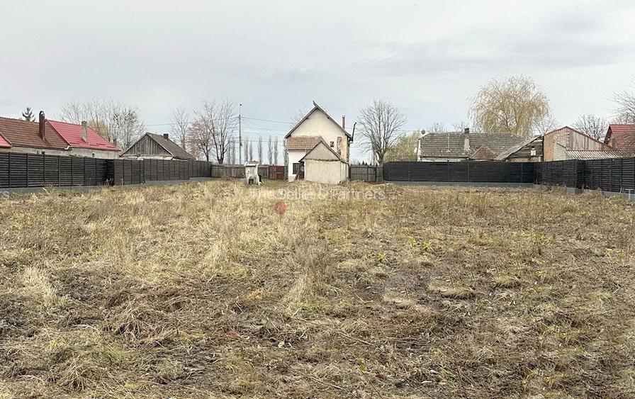 Curte Generoasa Zona Linistita - 8