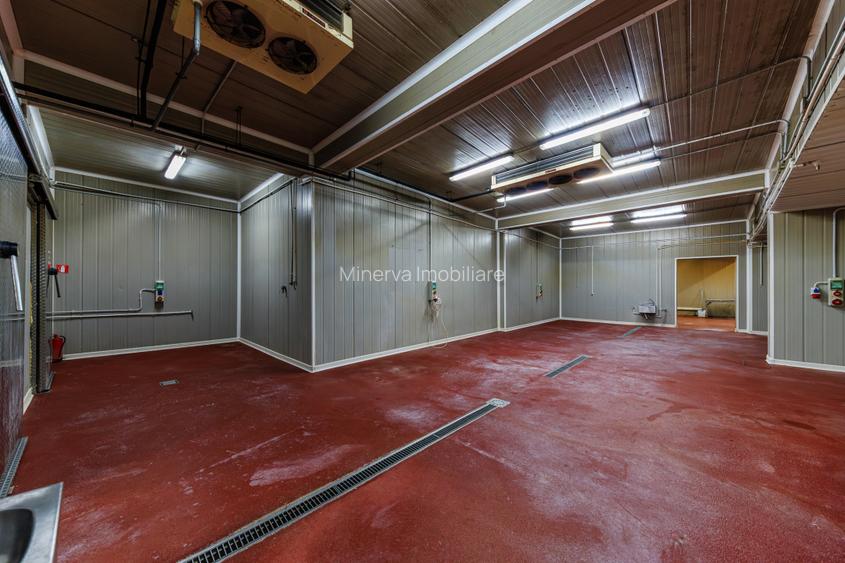 Hala depozitare, Dumbravița Timis, 1285 mp, Farma GDP Medical Cosmetice 6000 Eur - 16