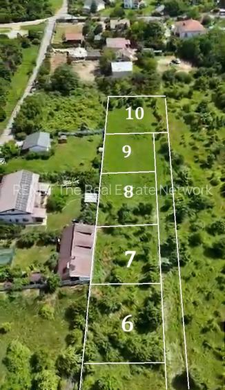 BALOTESTI – SAFTICA, LOT 460 MP! - 3