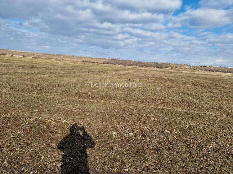 Teren intravilan 10000 mp, Piatra Neamt - 3