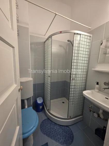 Apartament 1 Camera De Inchiriat | Central | Etaj Interemediar | Decomandat - 6