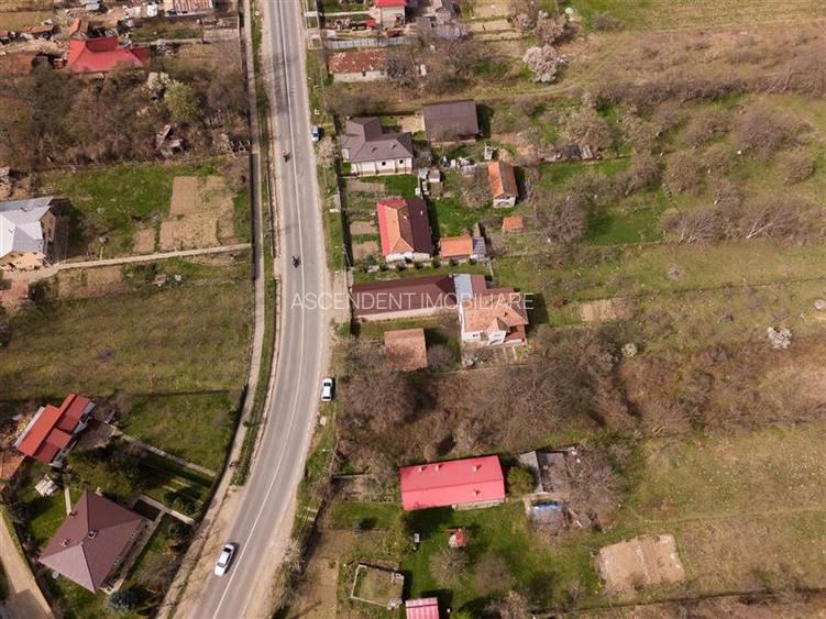 FILM! Casa  pe domeniu de 3.117 mp, Viperesti  Buzau - 16