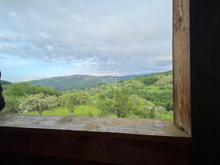 Cabana de 210mp, 2600 mp teren, in Rachitele - 6