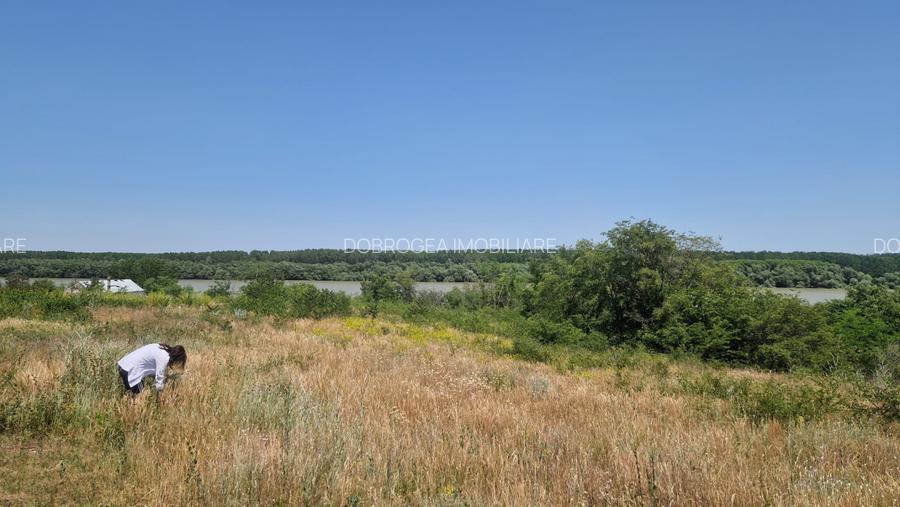  MAHMUDIA-TERENURI SI CASE - 3