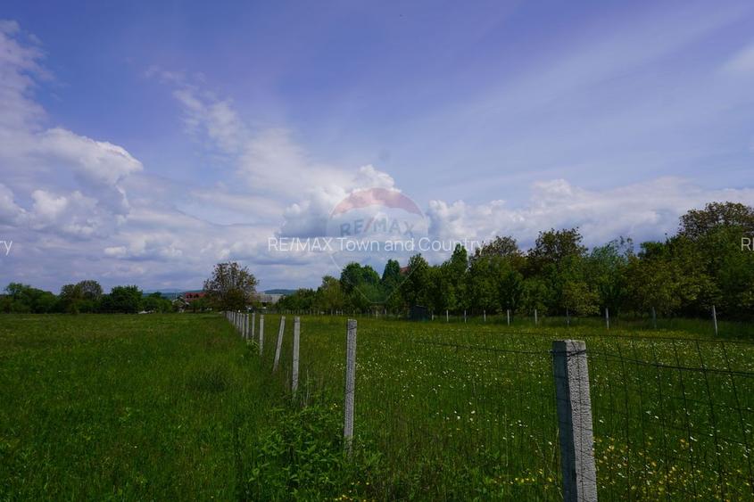 Teren 2,486mp Sighetu Marmatiei / Strada Constantin Dobrogeanu-Gherea - 3