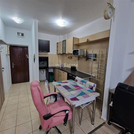 Apartament 1 camera zona Bulevardul Socola - 10