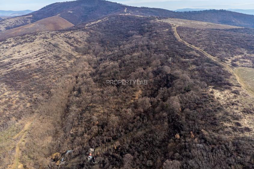 Teren în Ghioroc pe deal - 4