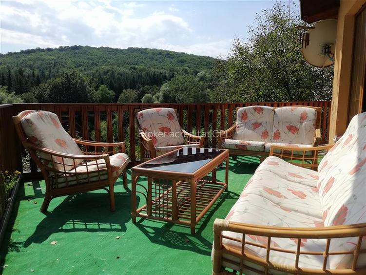 Cabana/Vila de inchiriat Valea Budului, Margineni - 33