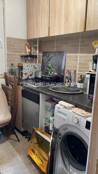 Colentina Teiul Doamnei - 3