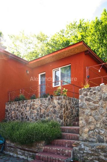 Locuință, Casă de Vacanță sau Business | 1.582 mp teren | Feleacu - 3
