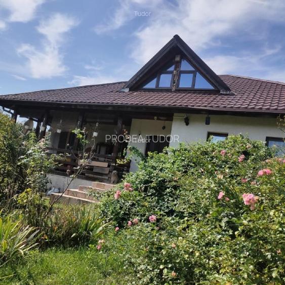 Pădure 268 ha in jud. Bacau, teren, constructii - 3