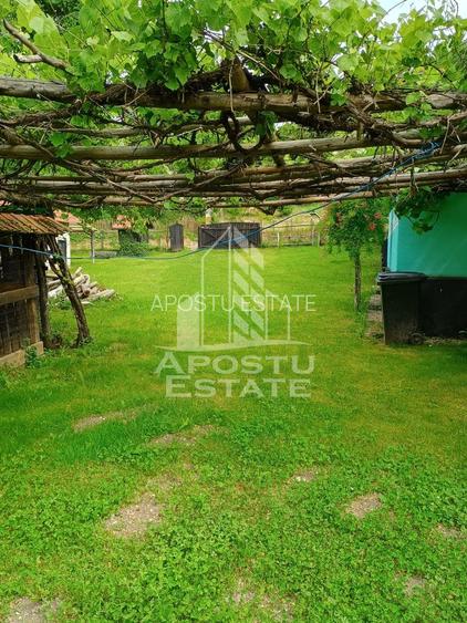 Casa batraneasca de vanzare, 4 camere, in Hunedoara, sat Micanesti - 39