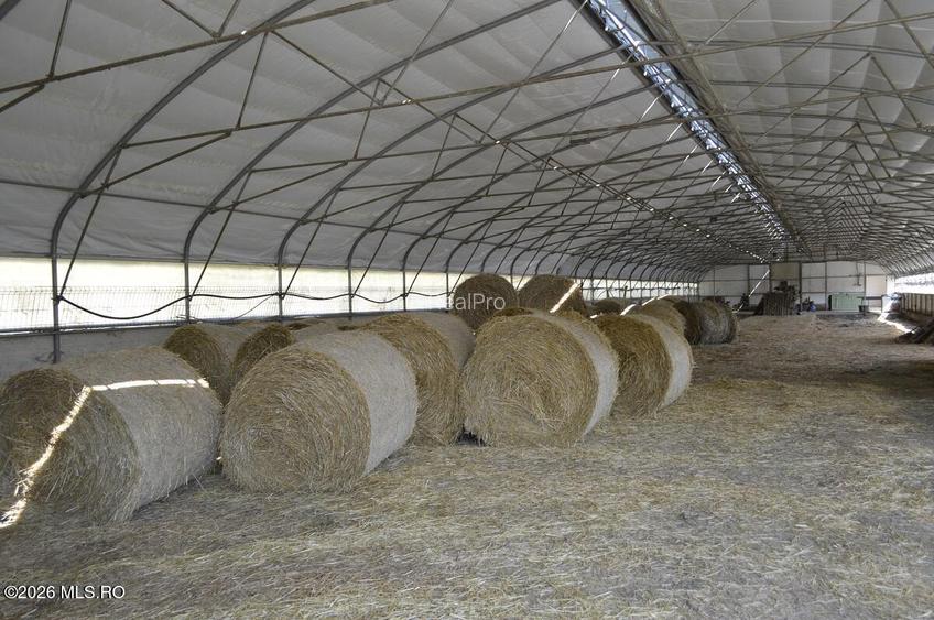 Bogati - Glimbocel, Ferma Zootehnica, Cladiri 1996 mp, Teren 4.89 ha - 6