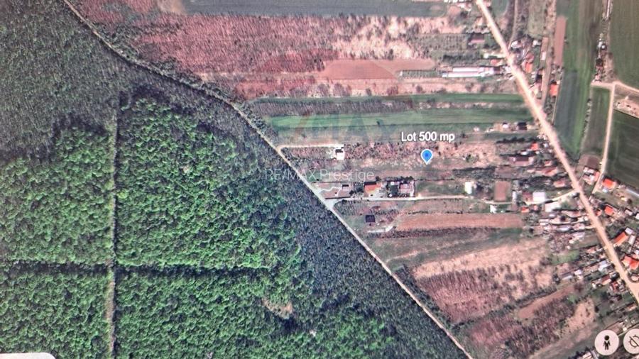 Teren Silistea Snagovului 500 mp apropiere padure - 5