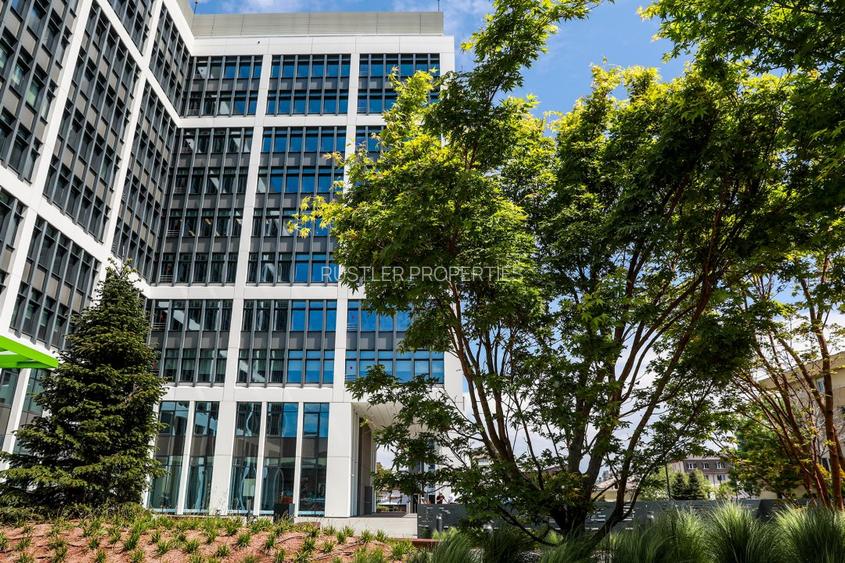 Birouri de inchiriat in Bucharest Business Garden - cladirea B - 9