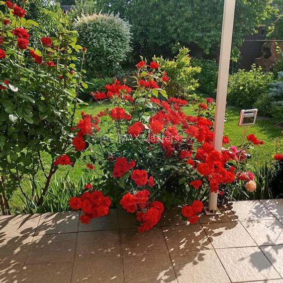 Casă / Vilă cu 8 camere de vânzare în zona Central - 53