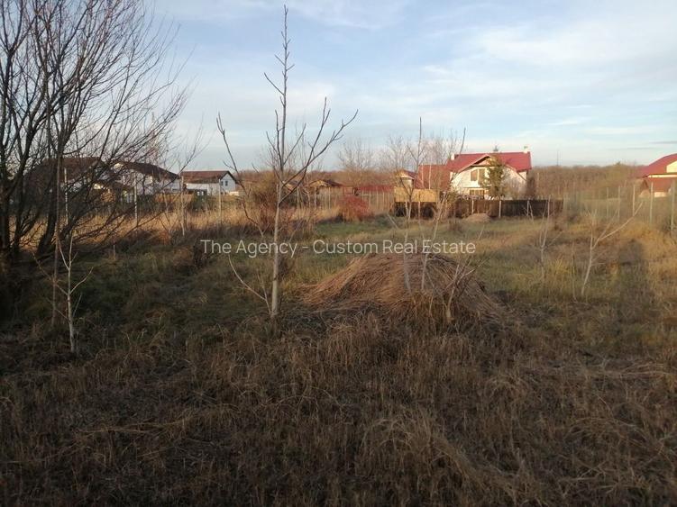 Teren constructie casa -1000 mp - Snagov, Strada Tudor Vladimirescu - 4