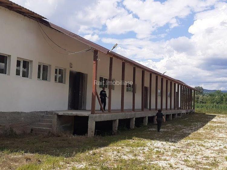 Hala de Inchiriat Godeni Arges - 4