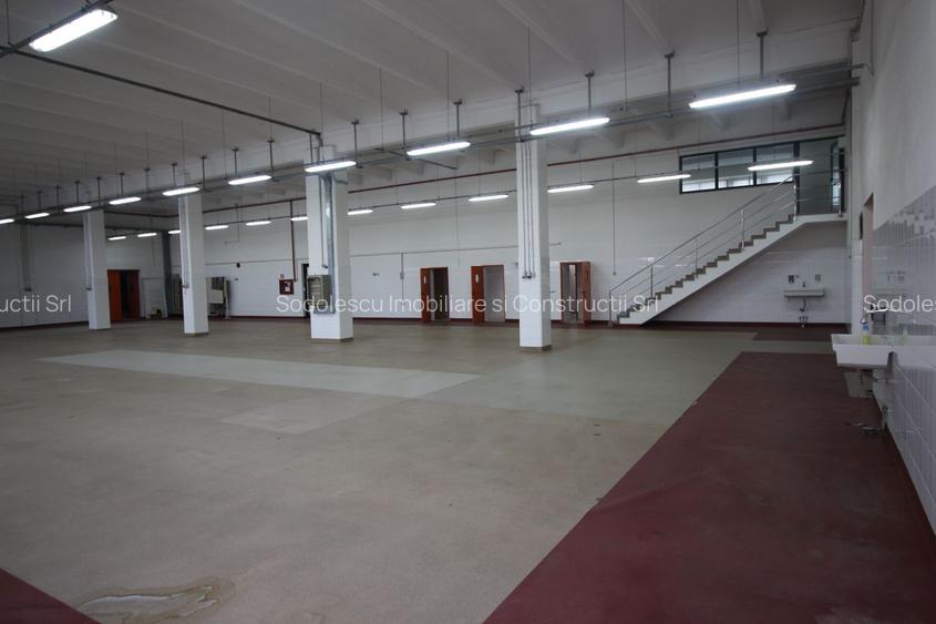 Hala productie    - Calea Torontalului de vanzare - 9