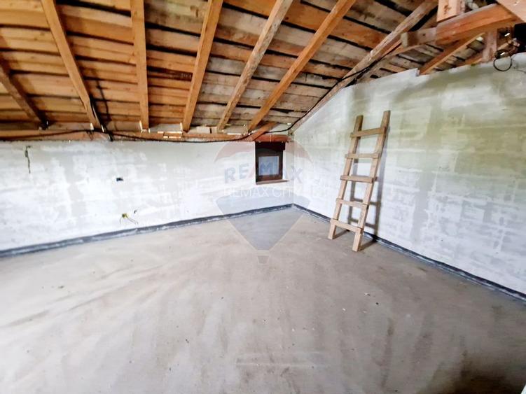 Casă spațioasă S+P+1E+M și teren generos 1664 mp - 17