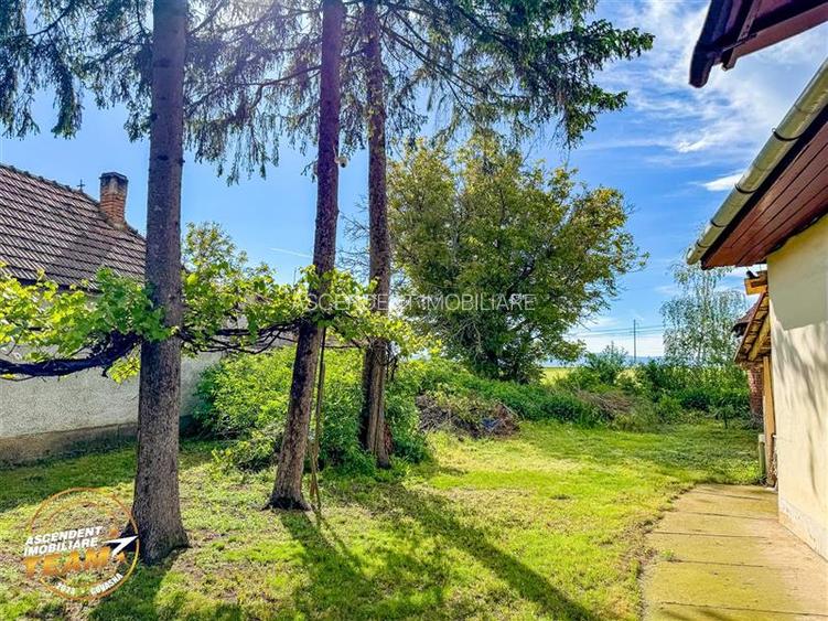 Refugiu cu farmec rustic cu:spatii auxiliare si 1.500 mp teren,Santionlunca,Cova - 2