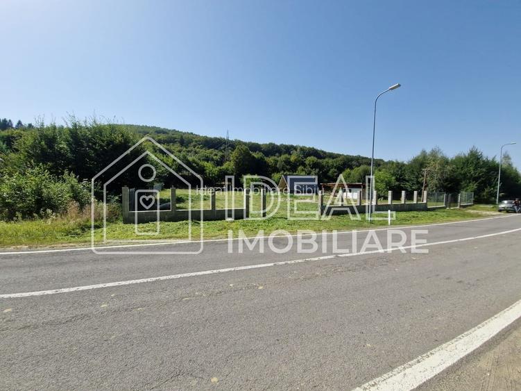 Teren extravilan 2.300 mp – Cârțișoara, județul Sibiu - 3