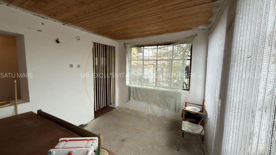 De vânzare 2 Case de vinificație cu Teren 4108 mp - Grădina Viilor - Carei - 7