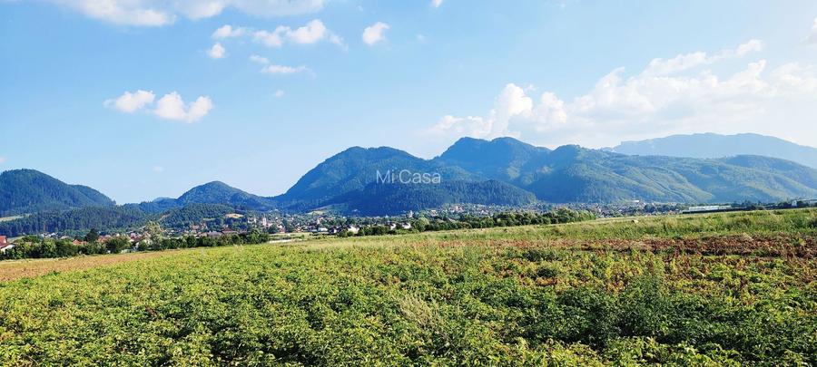 teren intravilan in Sacele-Baciu - 3