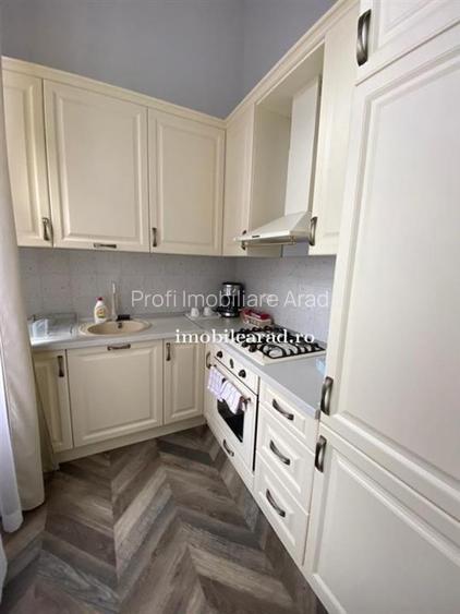 Apartament 60 Euro pe zi, amenajat in stil unic langa Primaria Arad - 10