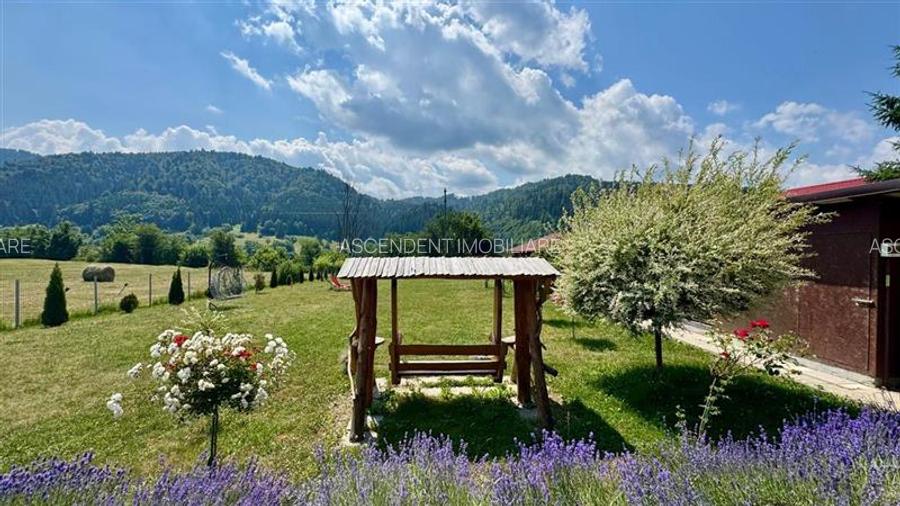 Refugiu pretios:jacuzzi, lemn masiv,2.000 mp teren,4 dormitoare, cuptor, investi - 21