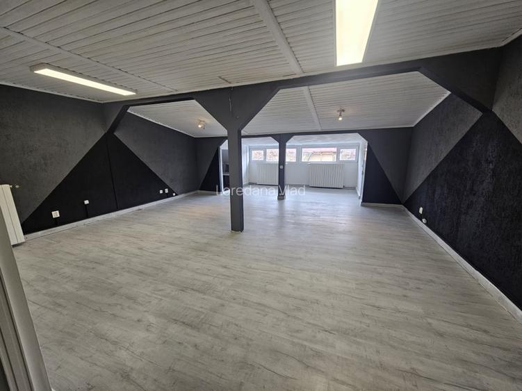 Casa vanzare Banu Manta - Ion Neculce an constructie 1995 - 5