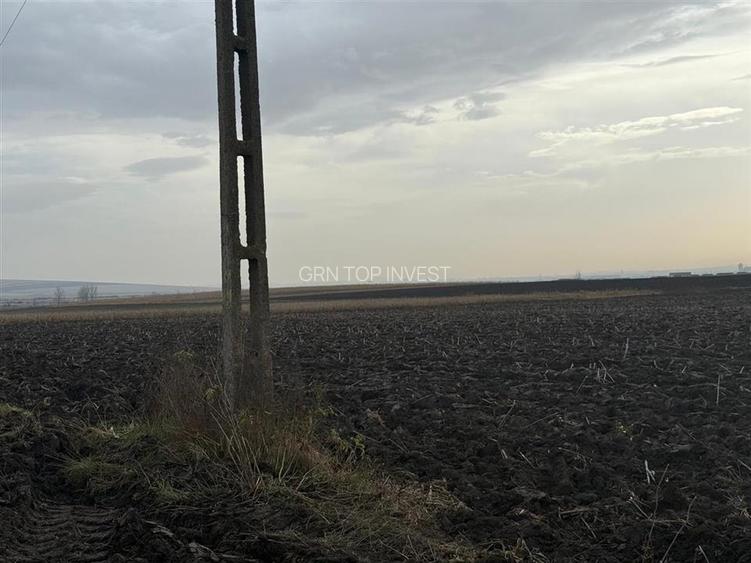 Teren extravilan in EXCLUSIVITATE 20300 mp in Sura Mica - 3