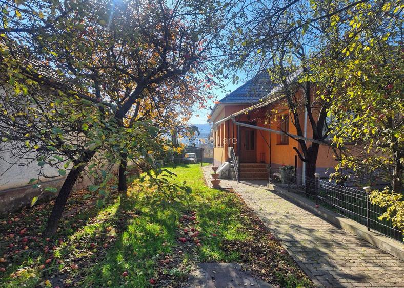 TEREN /CASA DE VANZARE , 1.580 , AVRAM IANCU - 2