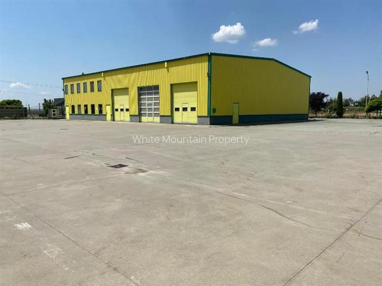 Pecica, 12000 mp platforma, inchiriere lunga durata, - 7