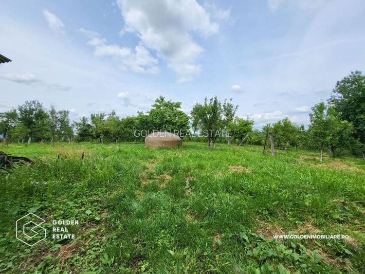 Casa mare, 3 corpuri de cladire, sat Lalasint - 8