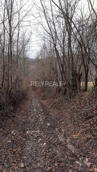 Teren Alunis / Jud. Prahova, 9.826 mp, D: 43 m , comision 0% - 4