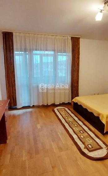 Podul de Fier, 1 camera mobilat si utilat, disponibil imediat - 3