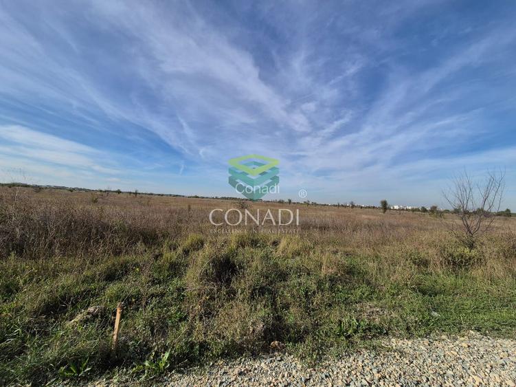 Teren de vanzare Padurea Baneasa 7.500 mp - 3