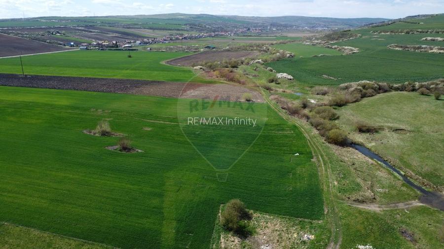 Teren cu potential industrial Luna de Jos, Dabaca - 16