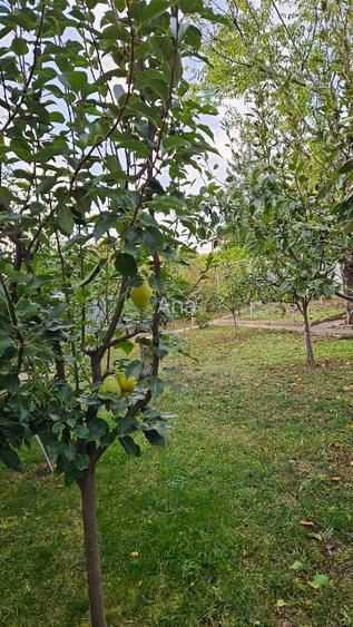 Casa 3 dormitoare Sendreni - 8