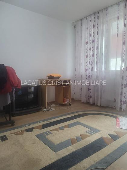 EXCLUSIVITATE! APARTAMENT 2 CAMERE CONFORT 1 ZONA CITY PARK MALL - 10