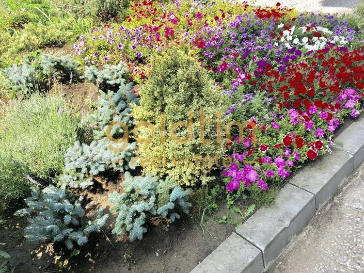 NOU/ SCOALA AMERICANA/ MOBILAT SI UTLAT - 18