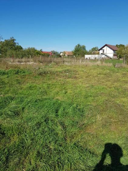 Teren Intravilan Becicherecu Mic In Vatra Satului,1000 mp,Fs. 14m