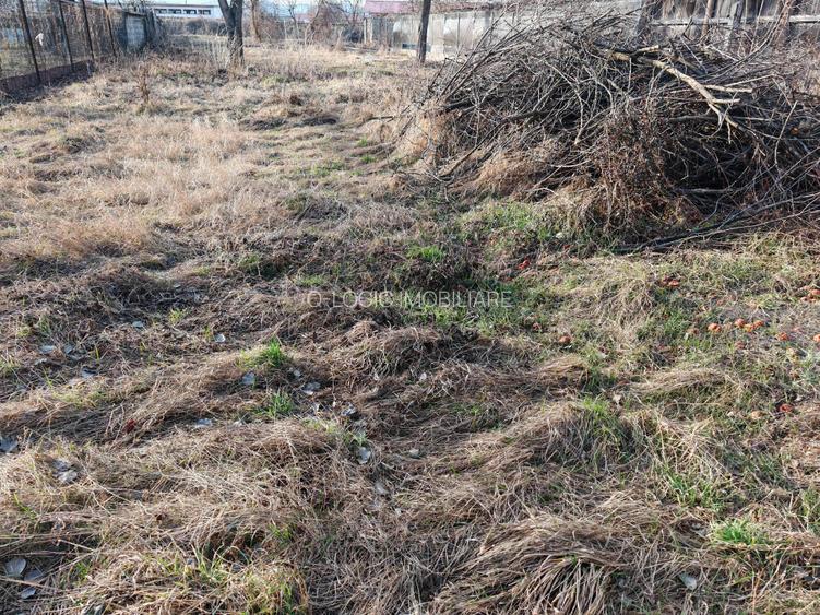 Casa libera la vanzare RASNOV - 8